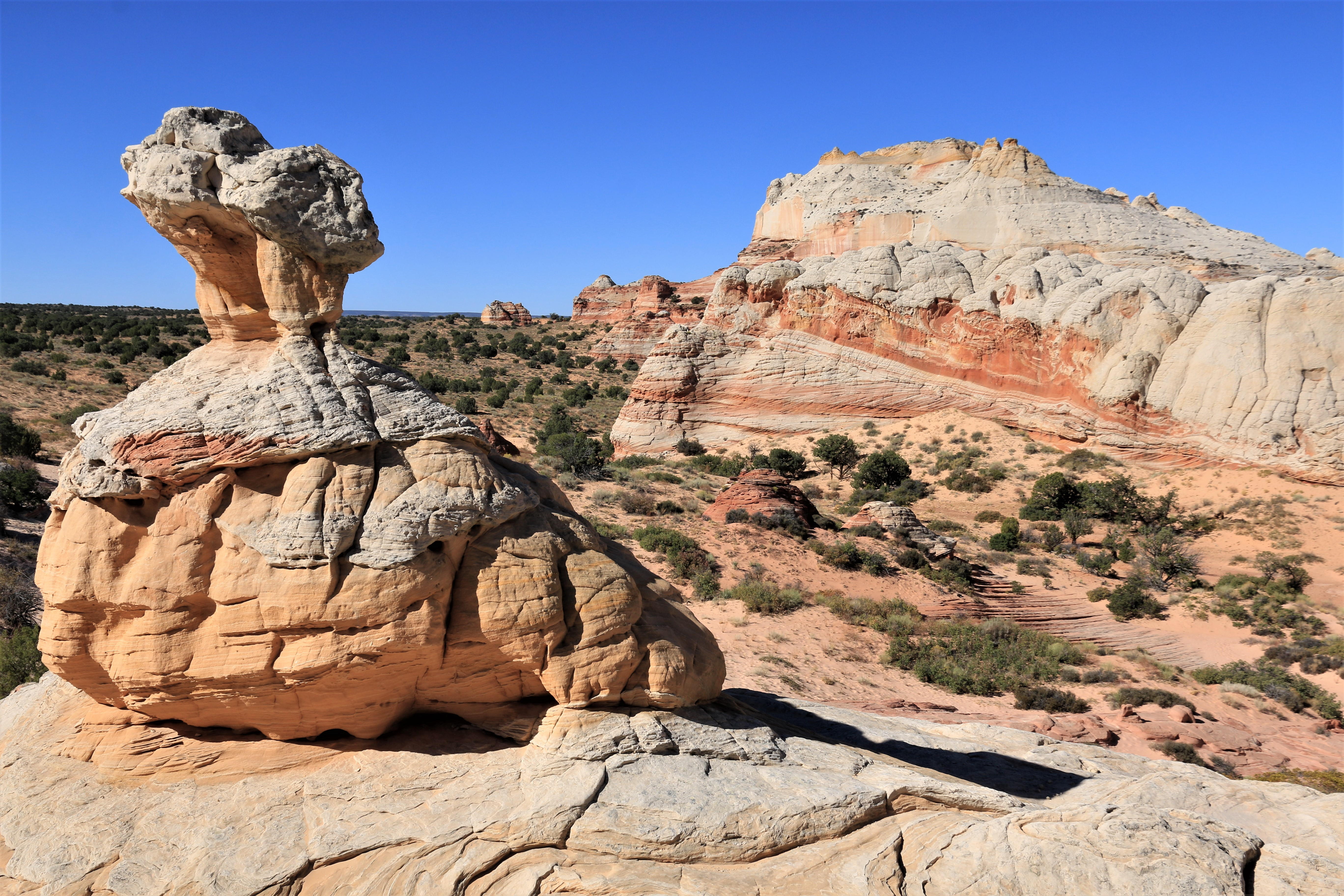 Vermillion Cliffs NM